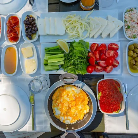 Azalea 1 Ортаджа