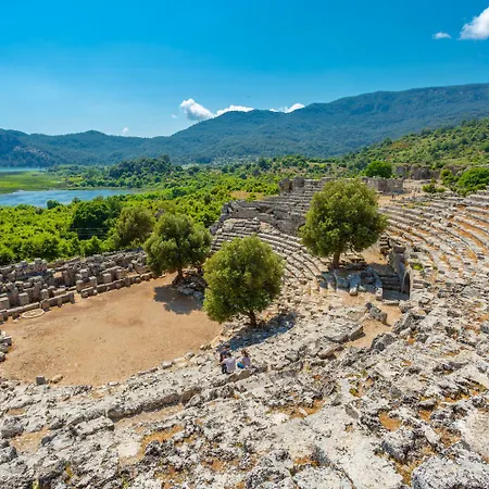 Azalea 1 Ортаджа